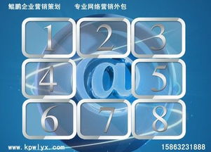 菏泽网络营销策划与信息网络服务 如何选择优质公司